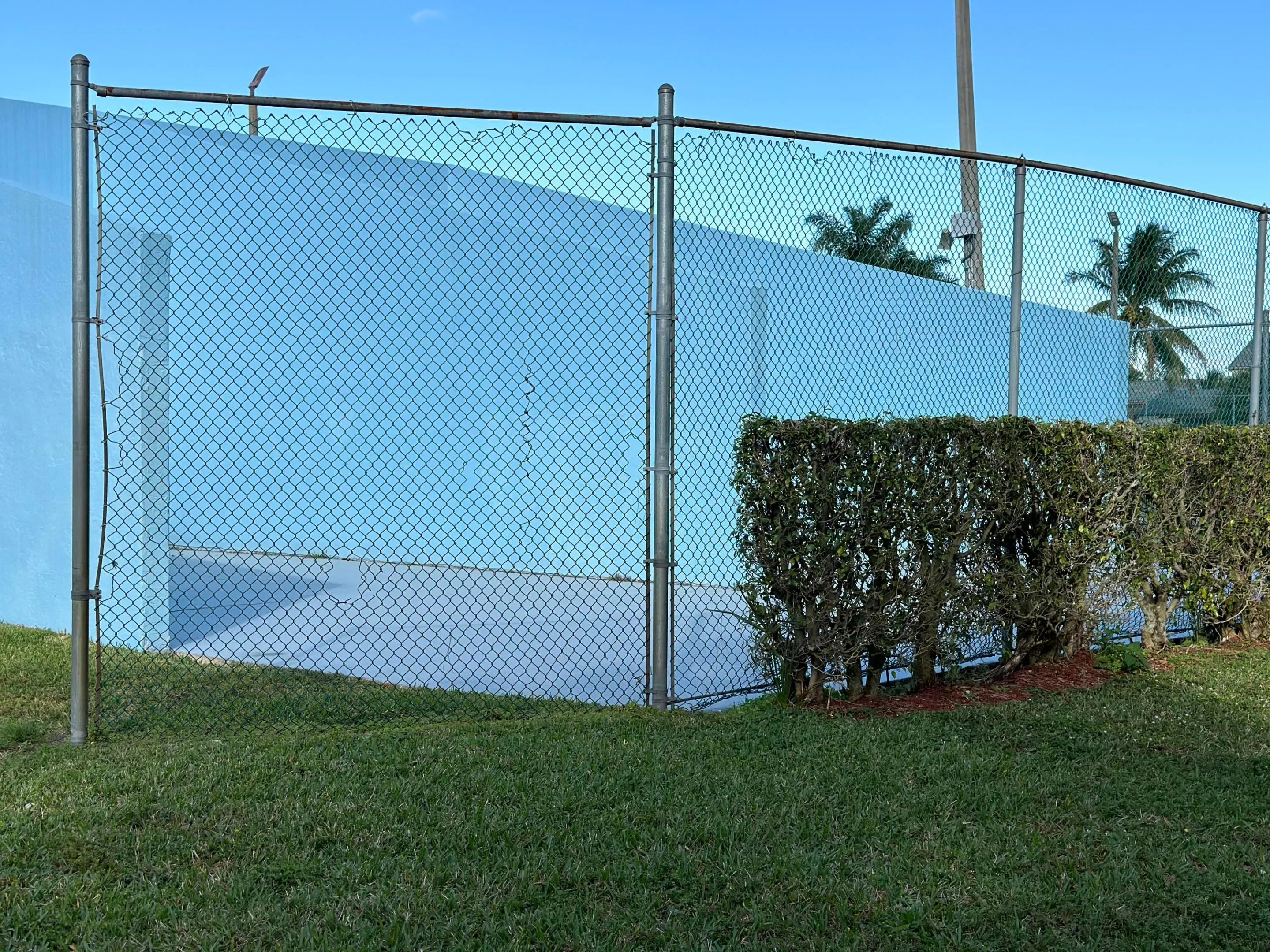 racquetball
