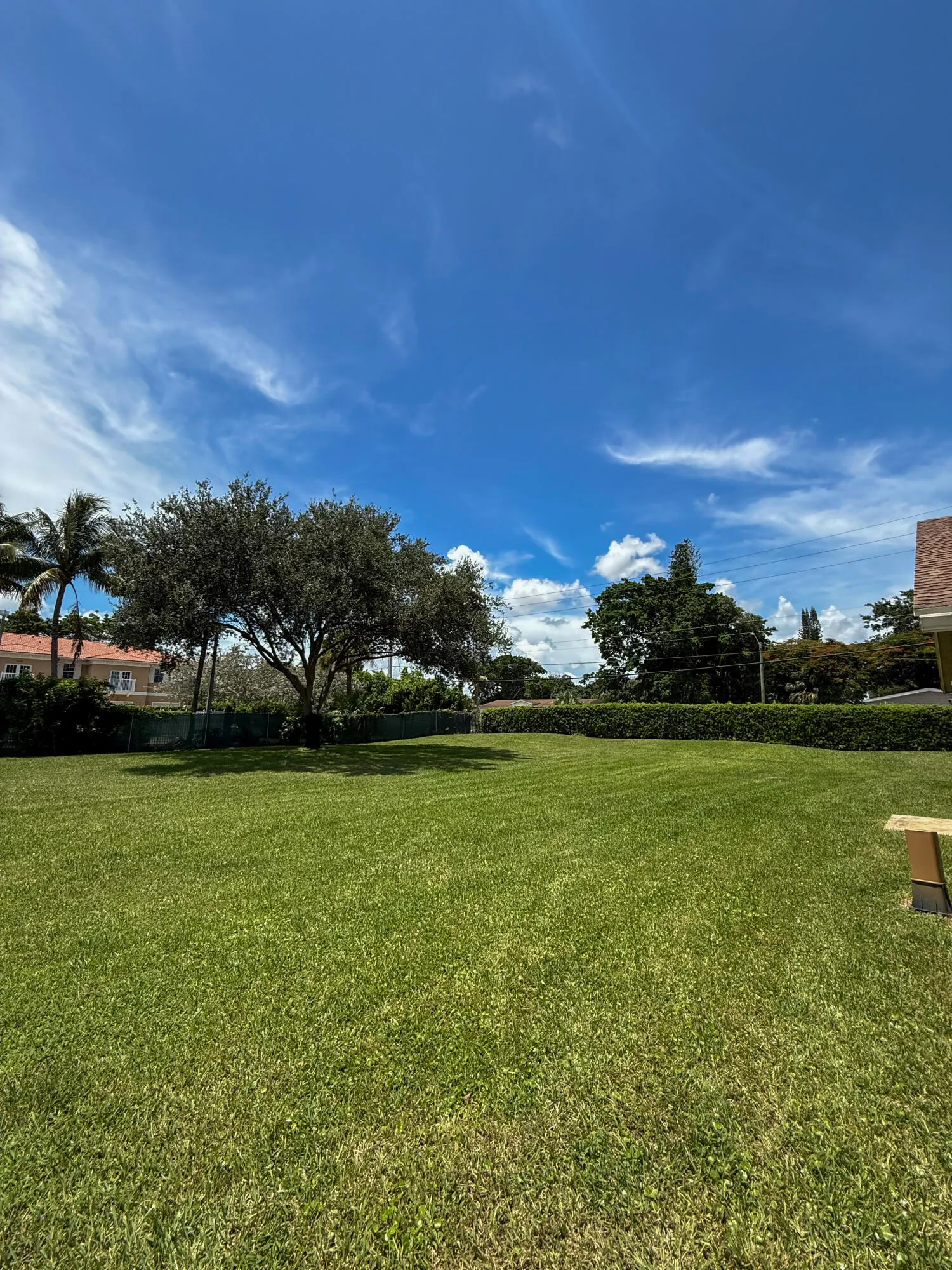 Grassy area