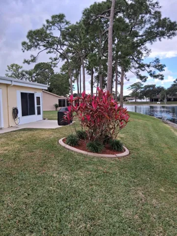 Backyard 2