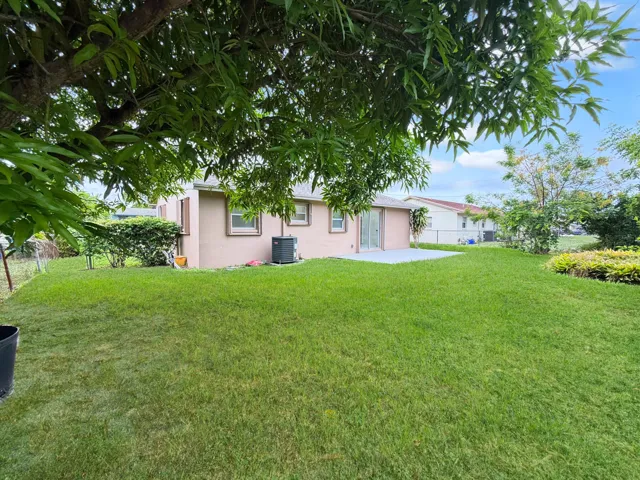 Backyard from Mango Tree