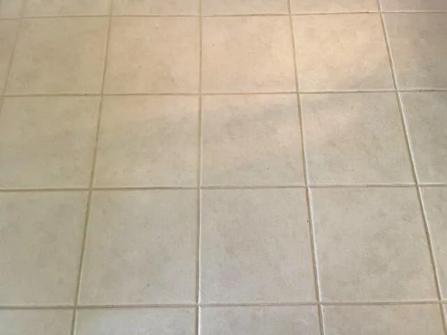 Tile Flooring throughout living area