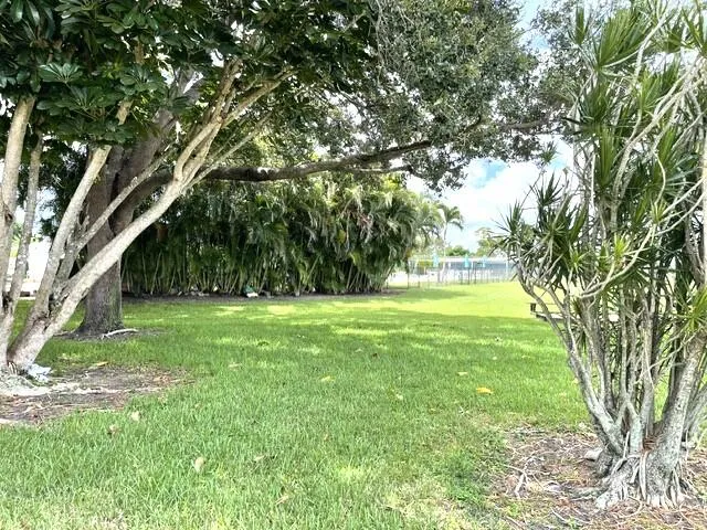 Back yard view of the lake