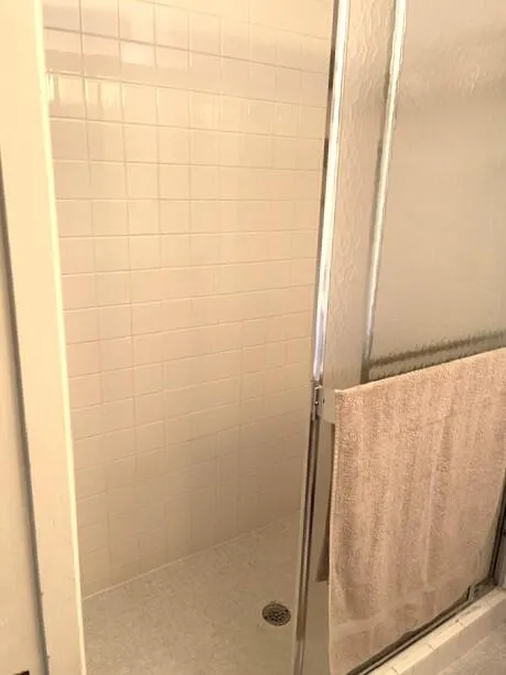 Guest bathroom shower stall