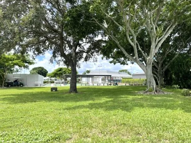 Back yard view