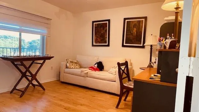 Property photo 43