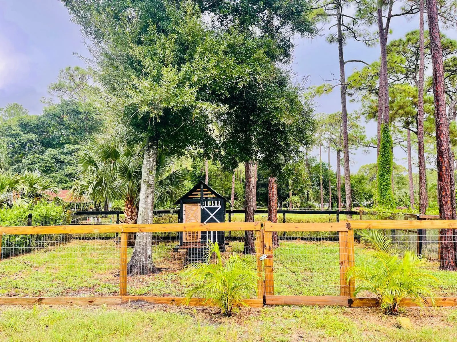 Loxahatchee- 79