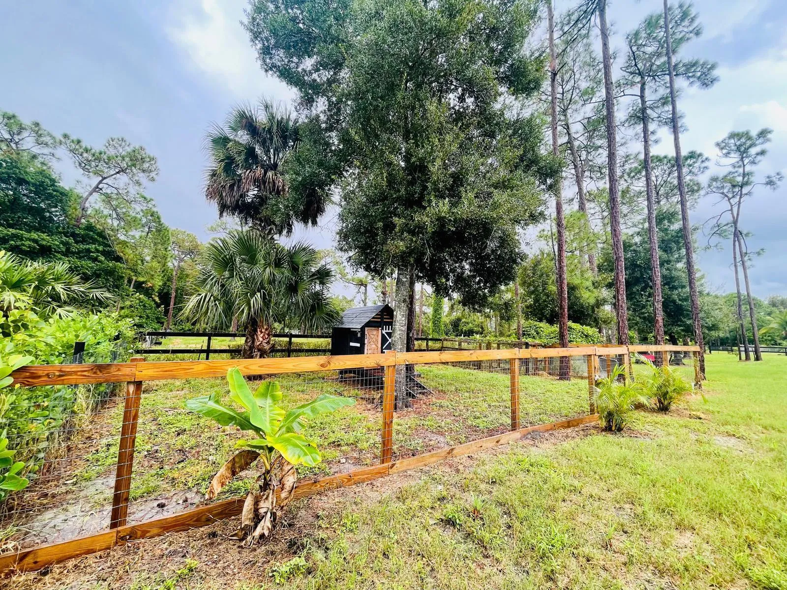 Loxahatchee- 33
