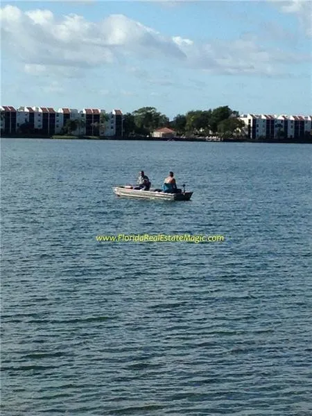Photo 30