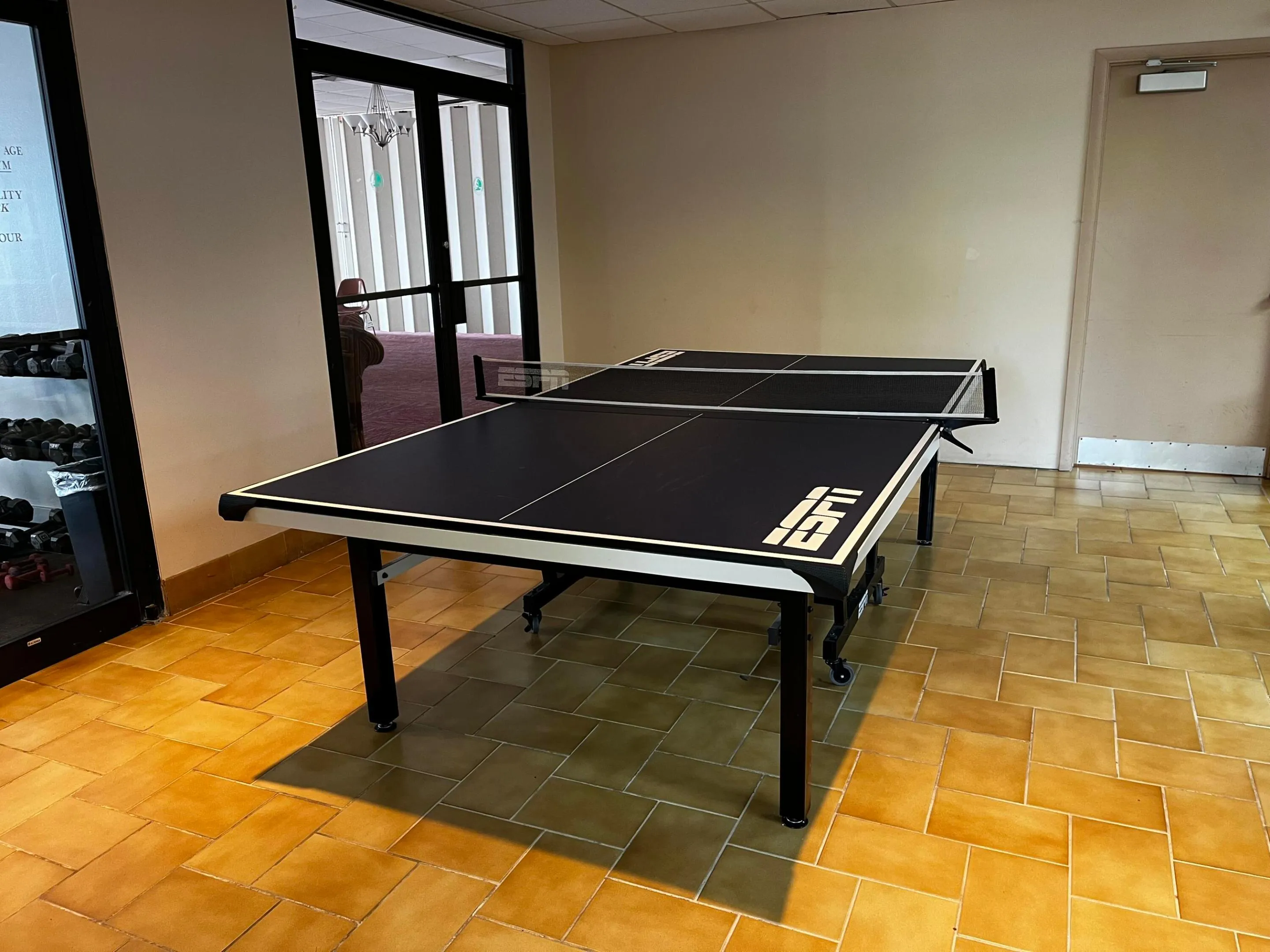 LE Ping Pong