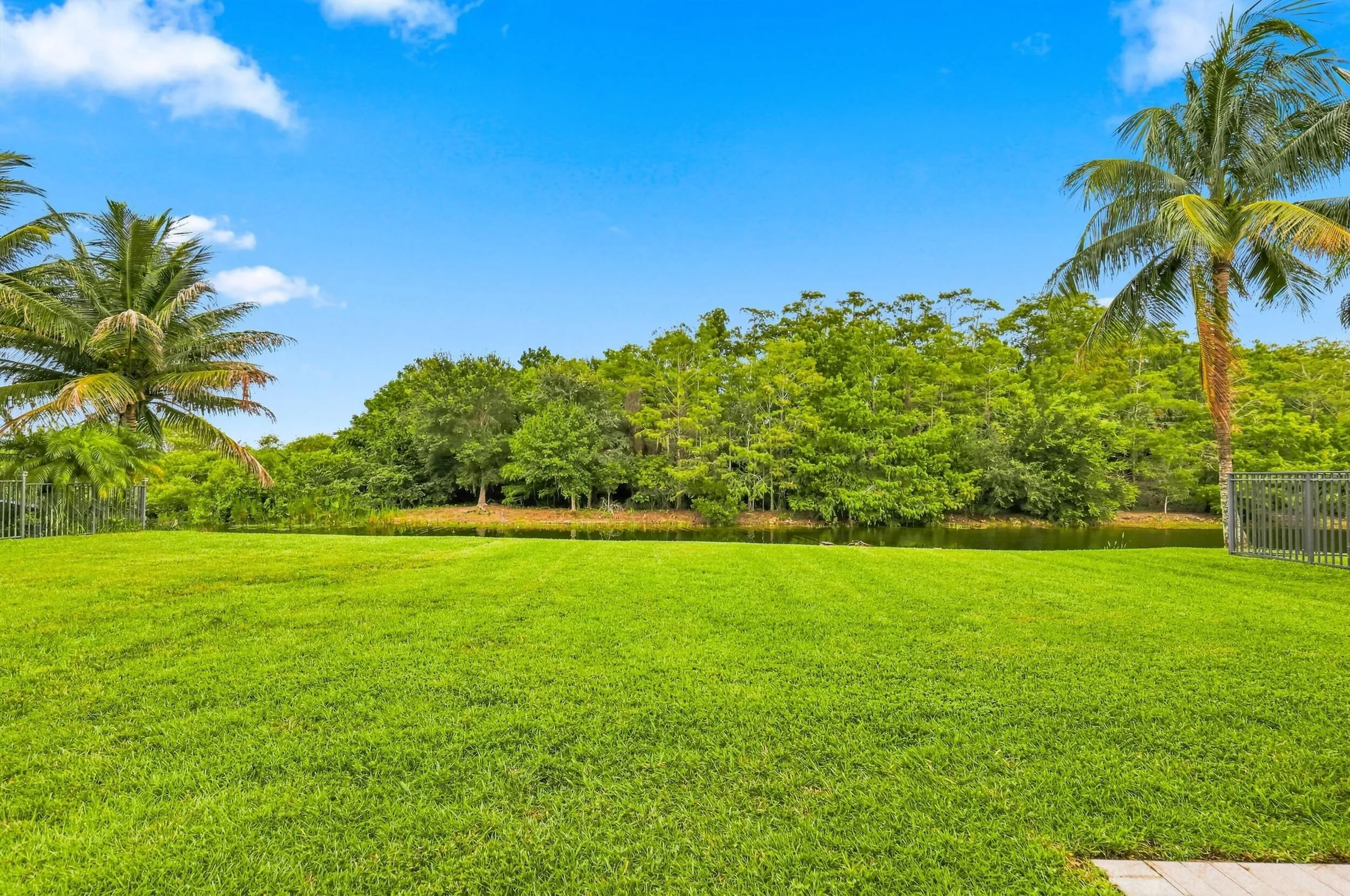 Large backyard with natural preserve. West facing. Plenty of room for a large pool and outdoor area