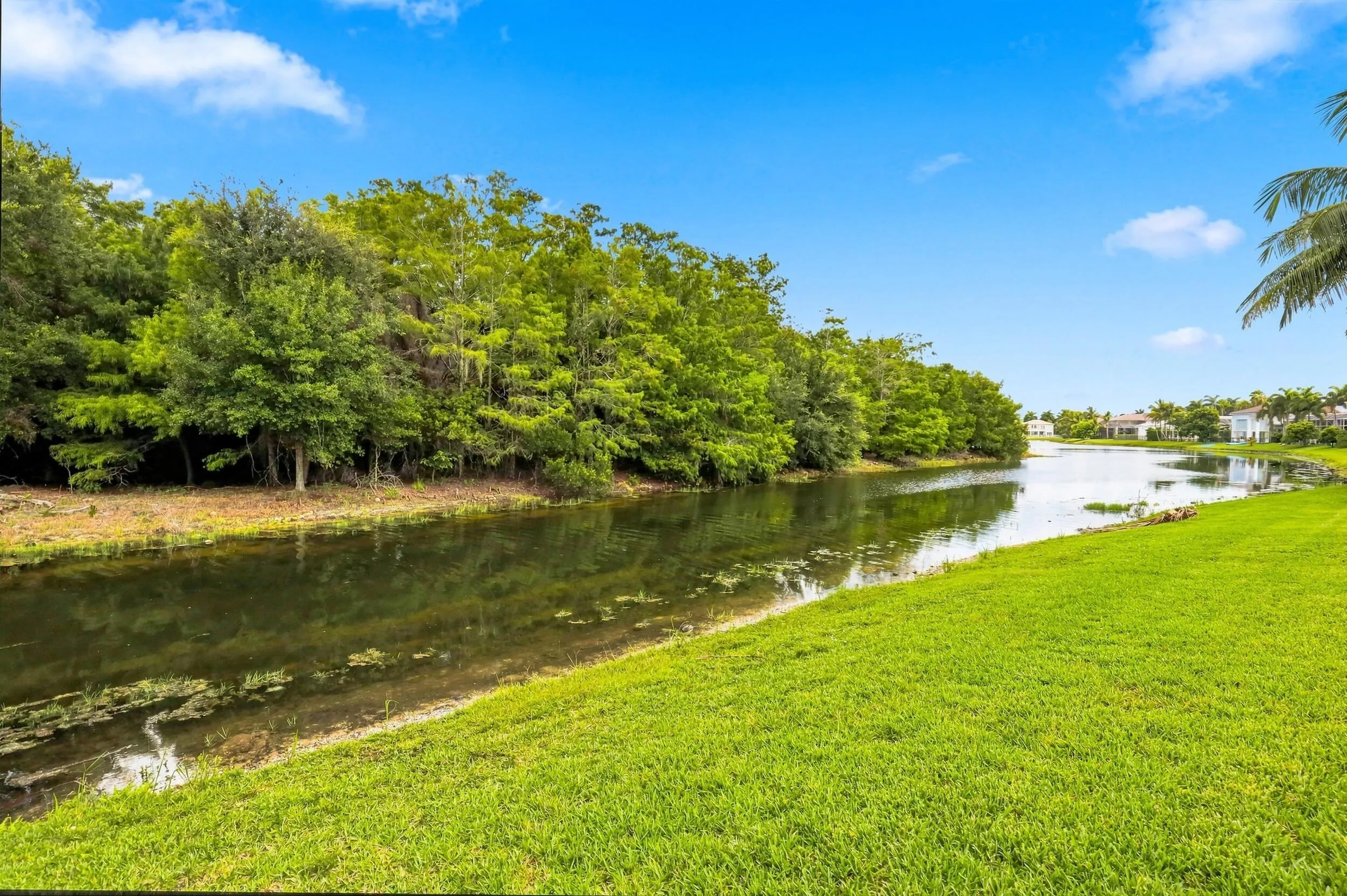 Private lot with natural preserve and lake views