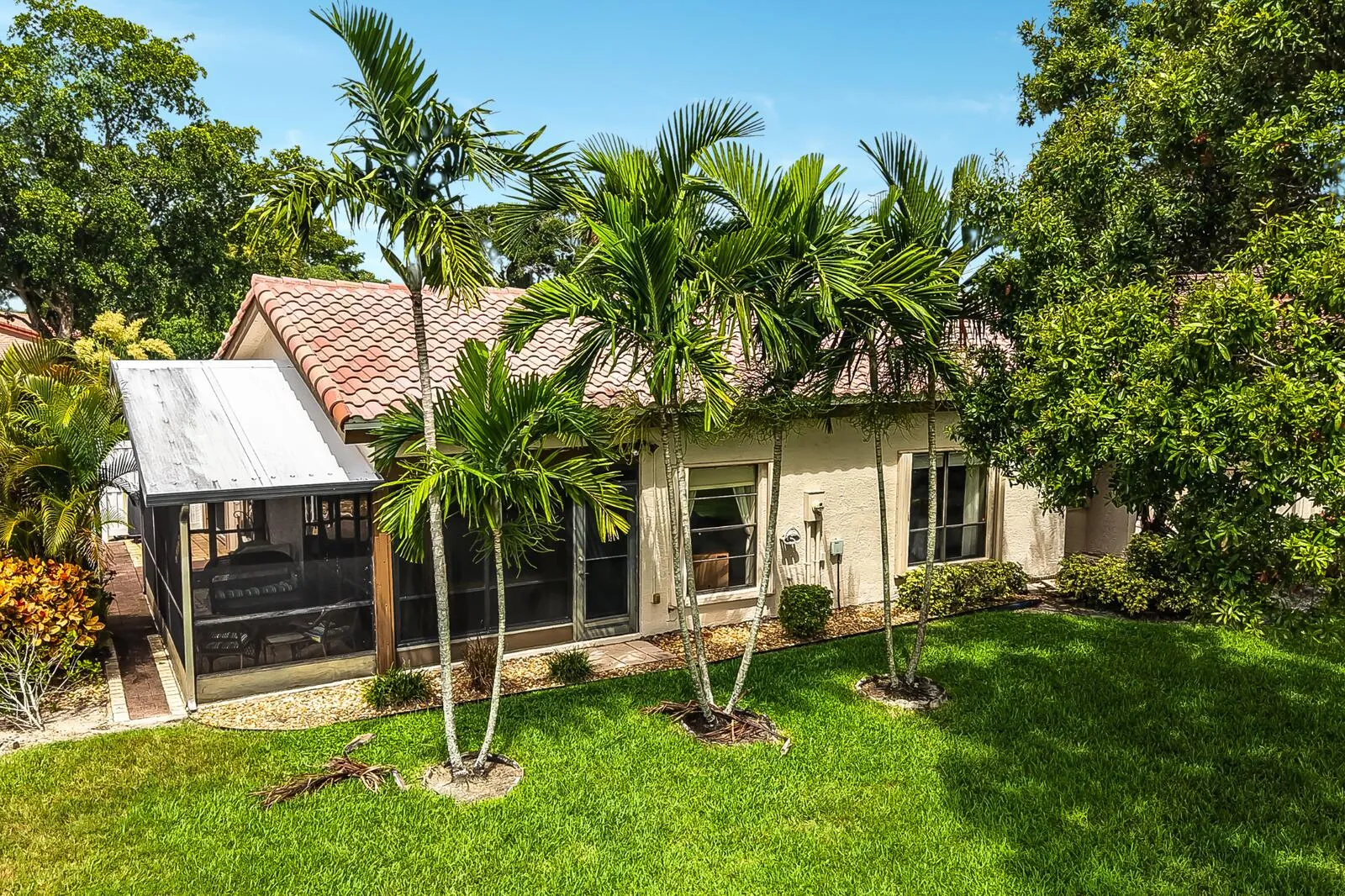 41_Untitled_design_20260805_193850_0000_
