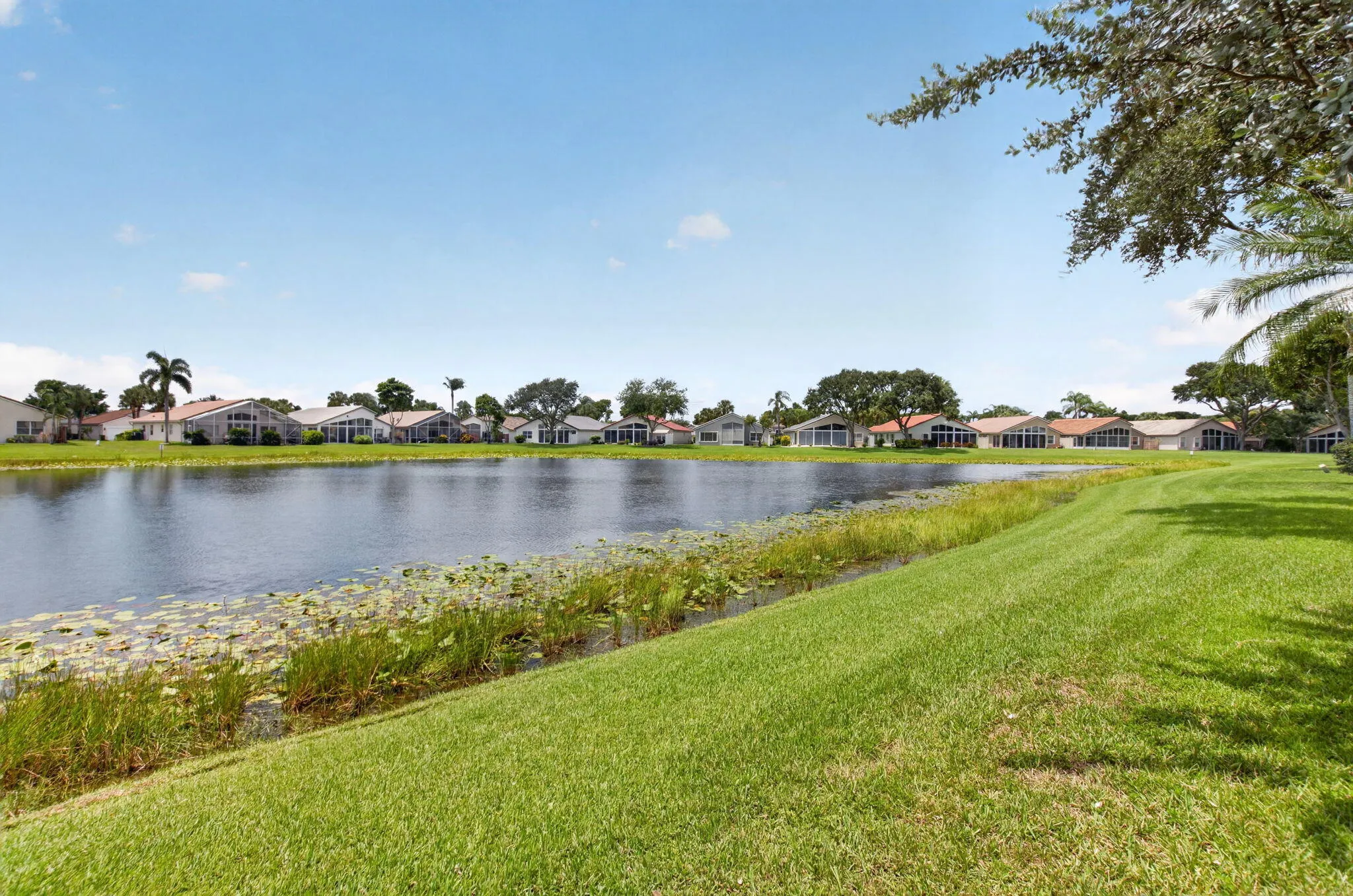 Lake view