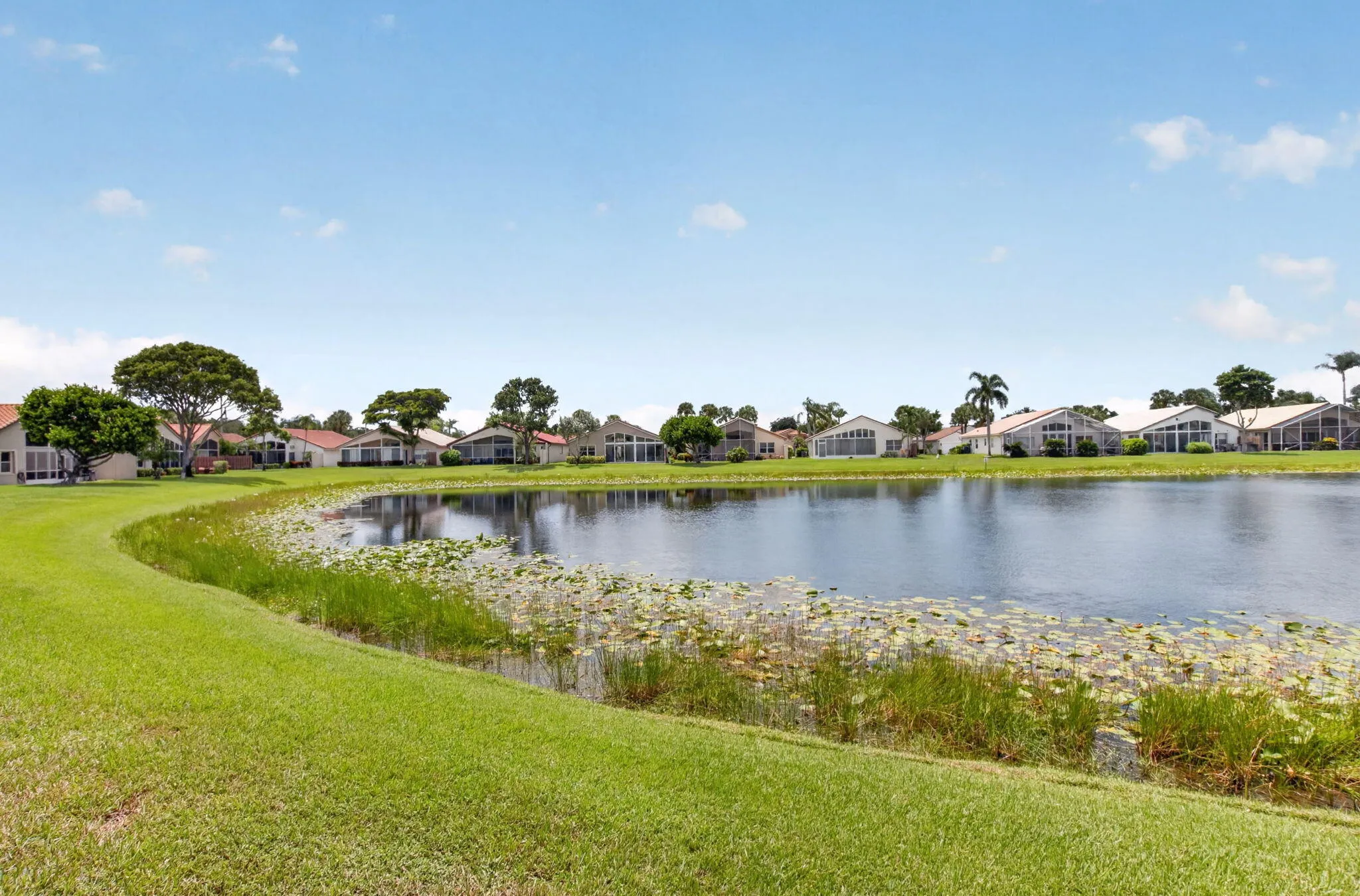 Lake view