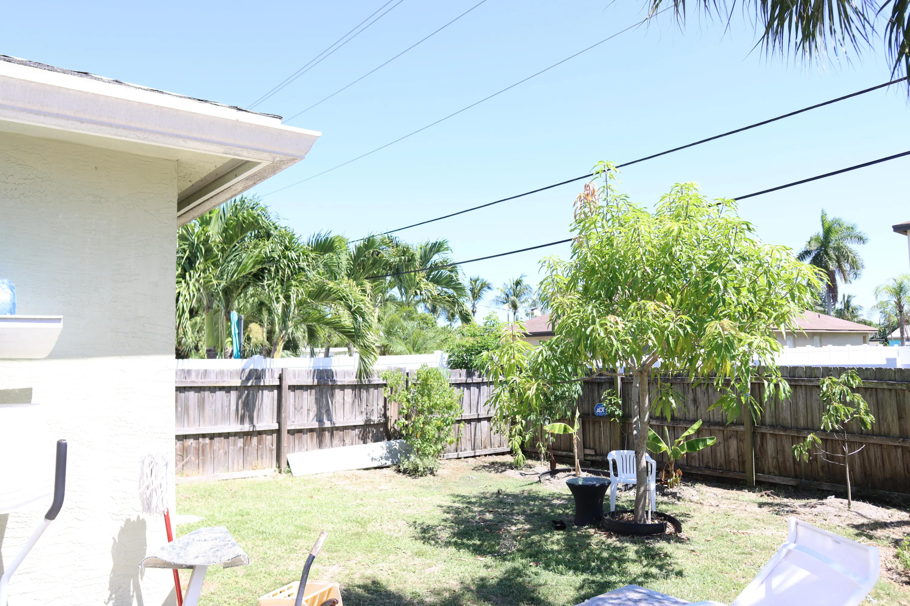 Backyard