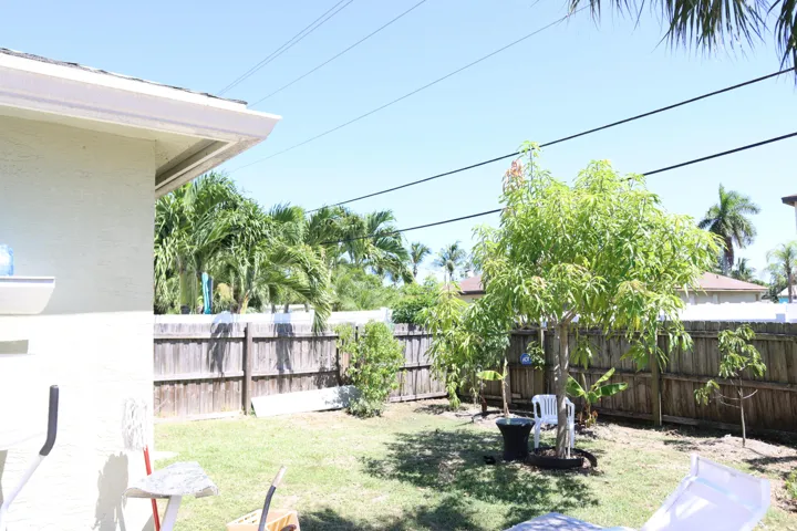 Backyard