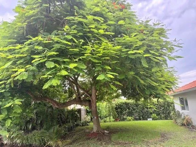 Property photo 39