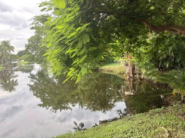 Lake view 2