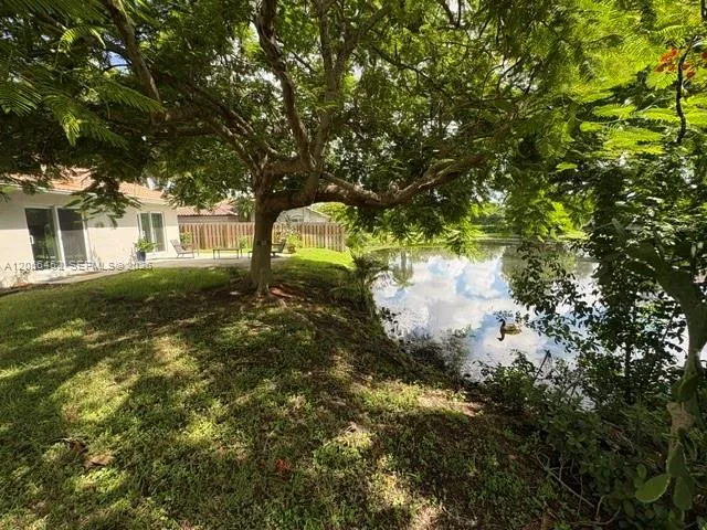 Back Yard -- Notice the duck in the Lake