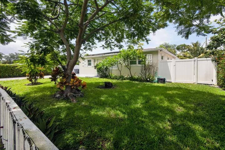 5-web-or-mls-5D1A7851