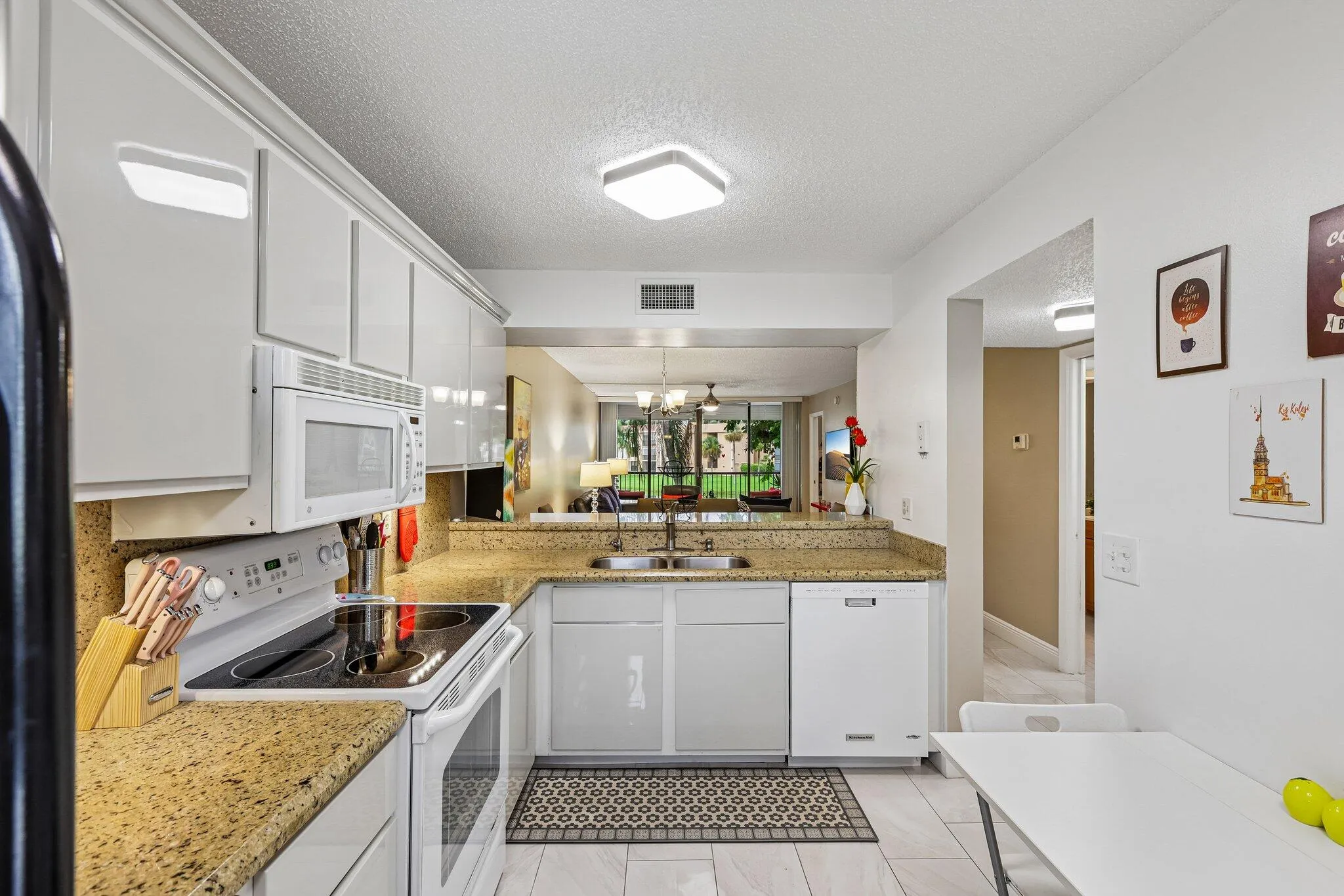 17-web-or-mls-Coral Lake Dr 206-S0608-01