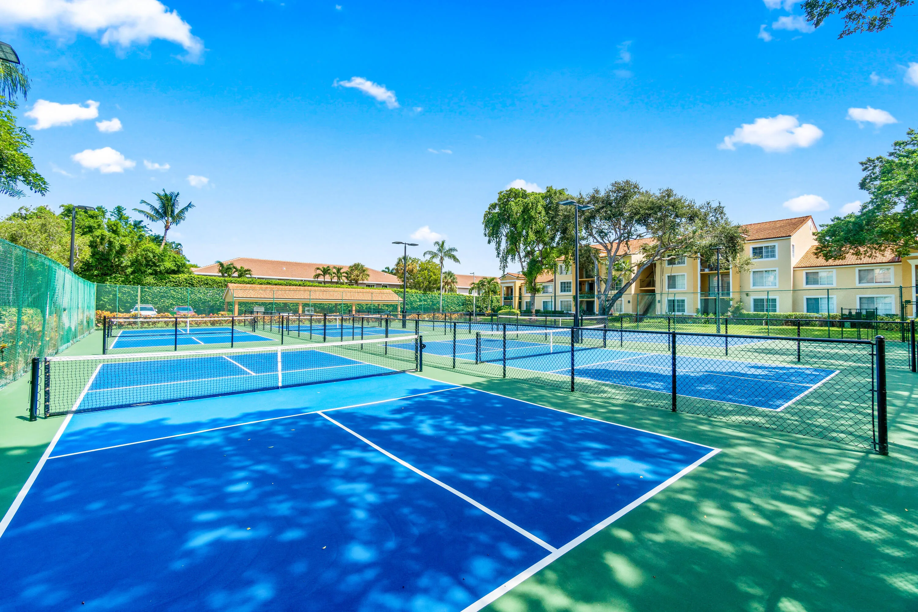 tennis/pickleball