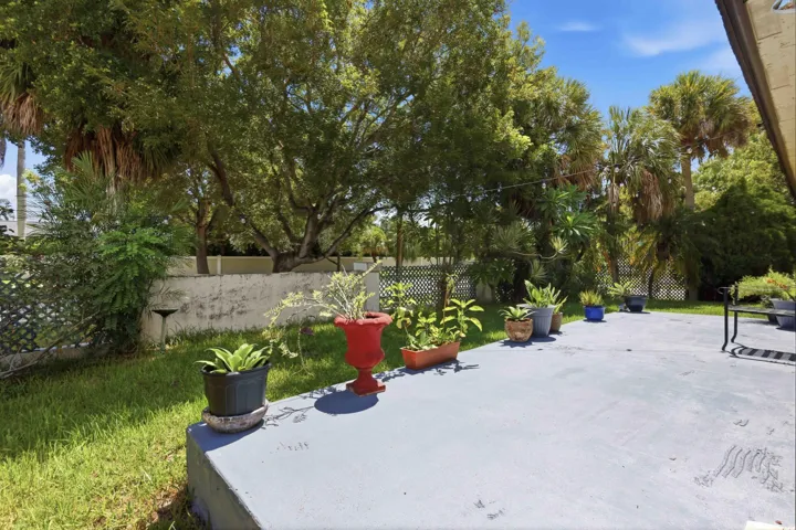 Patio Terrace