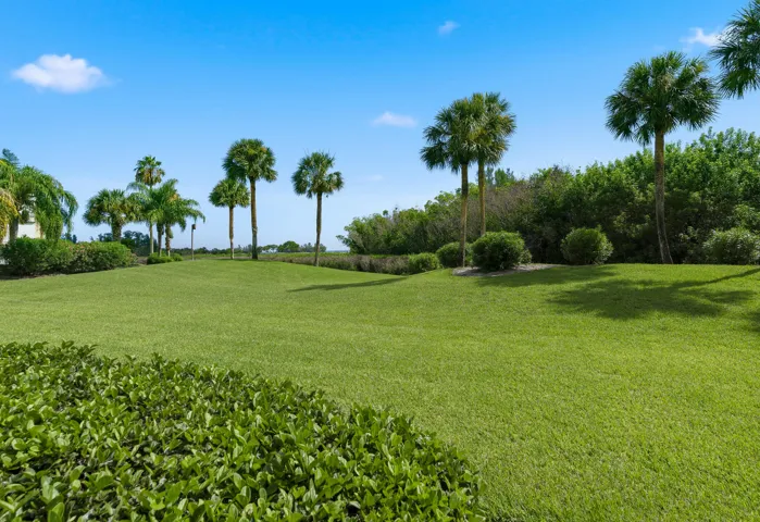 Lawn Space