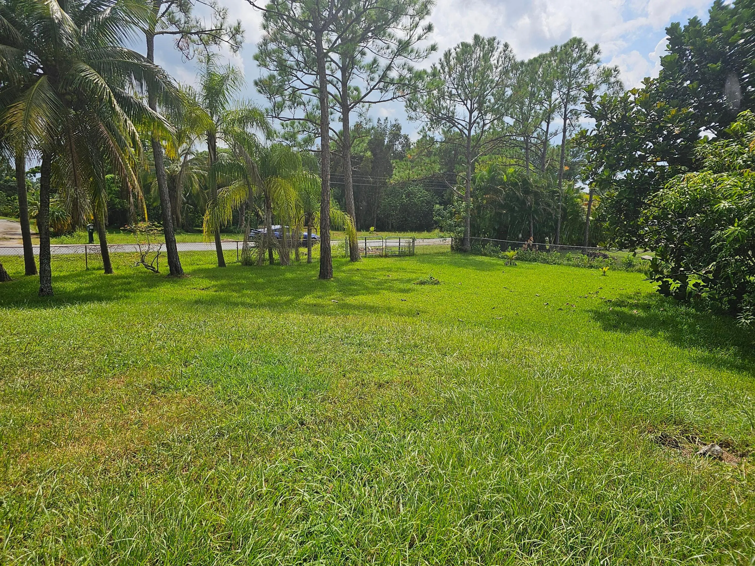 yard