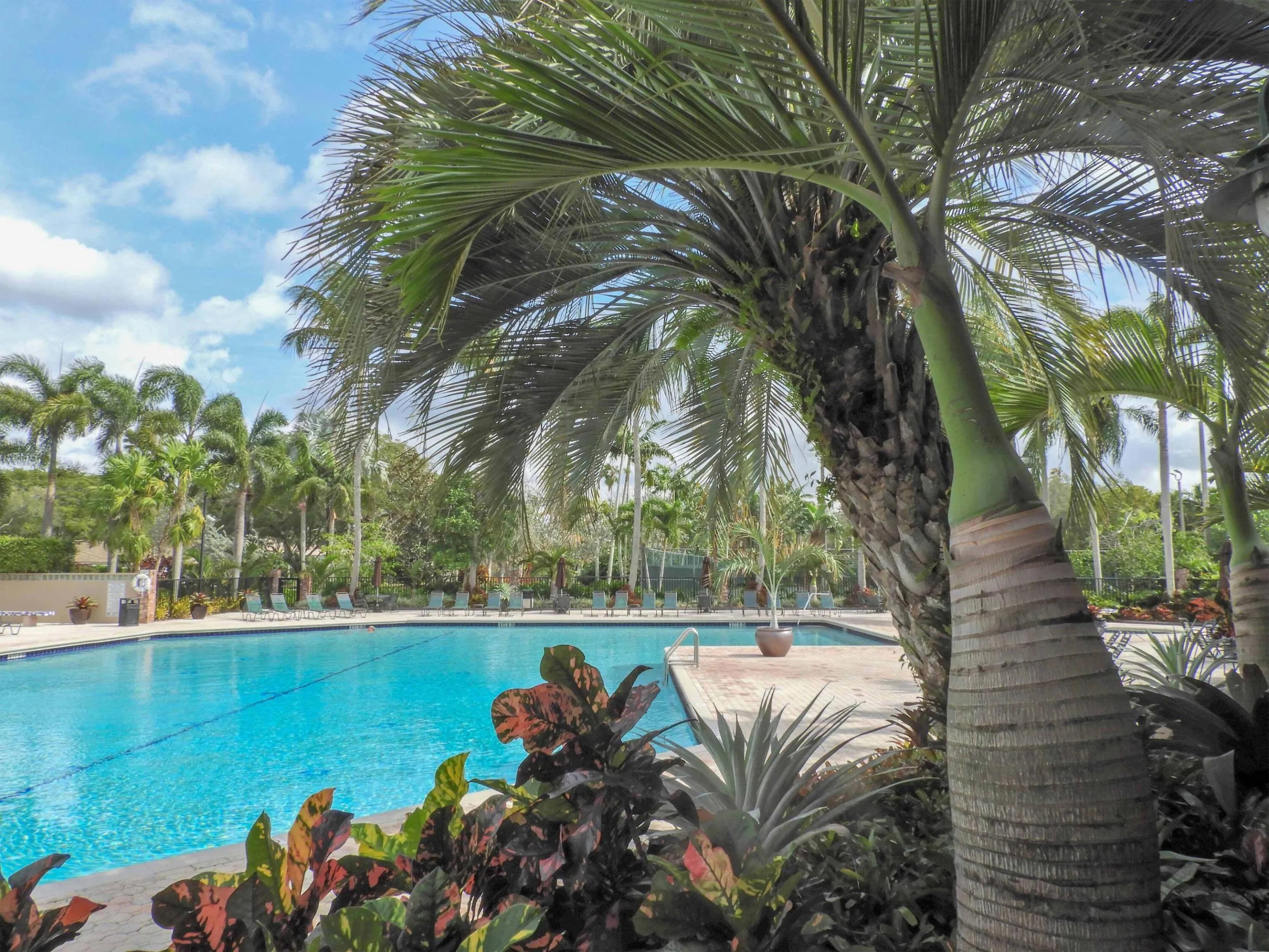 Clubhouse pool