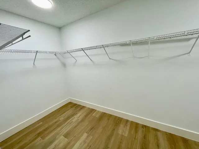 Master Bedroom Walk-in Closet