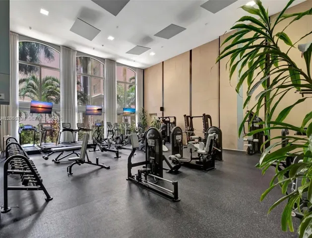 Brand new gym equipment