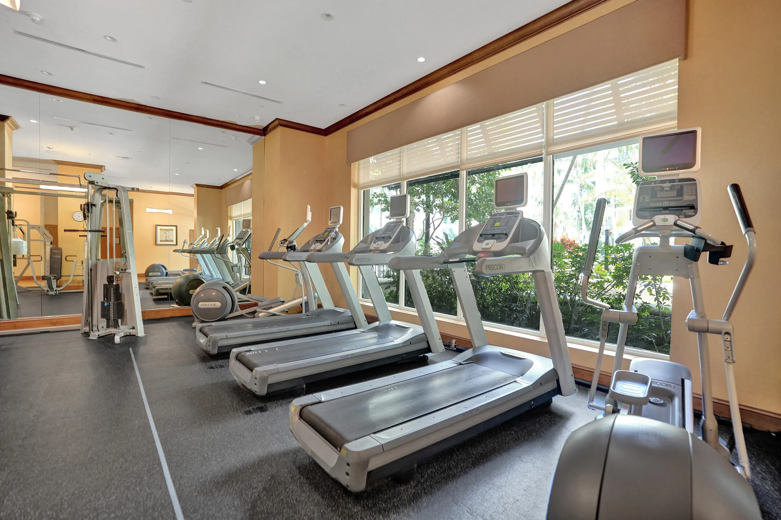 Gym 1