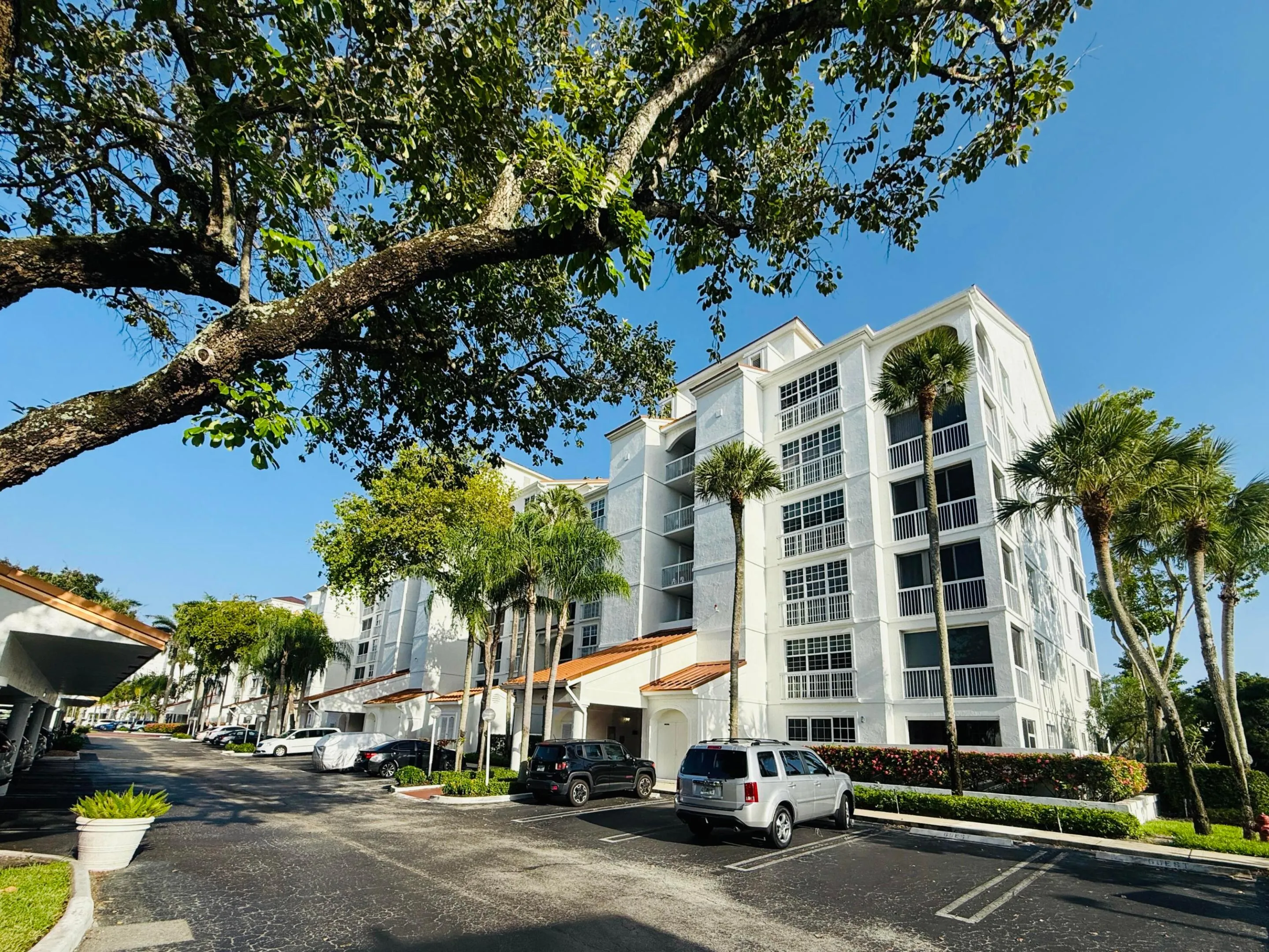 IMG_6226
