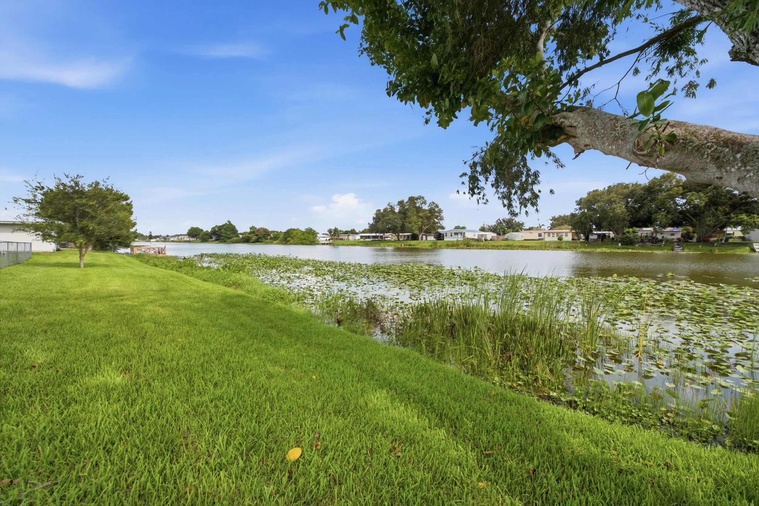 Property photo 40