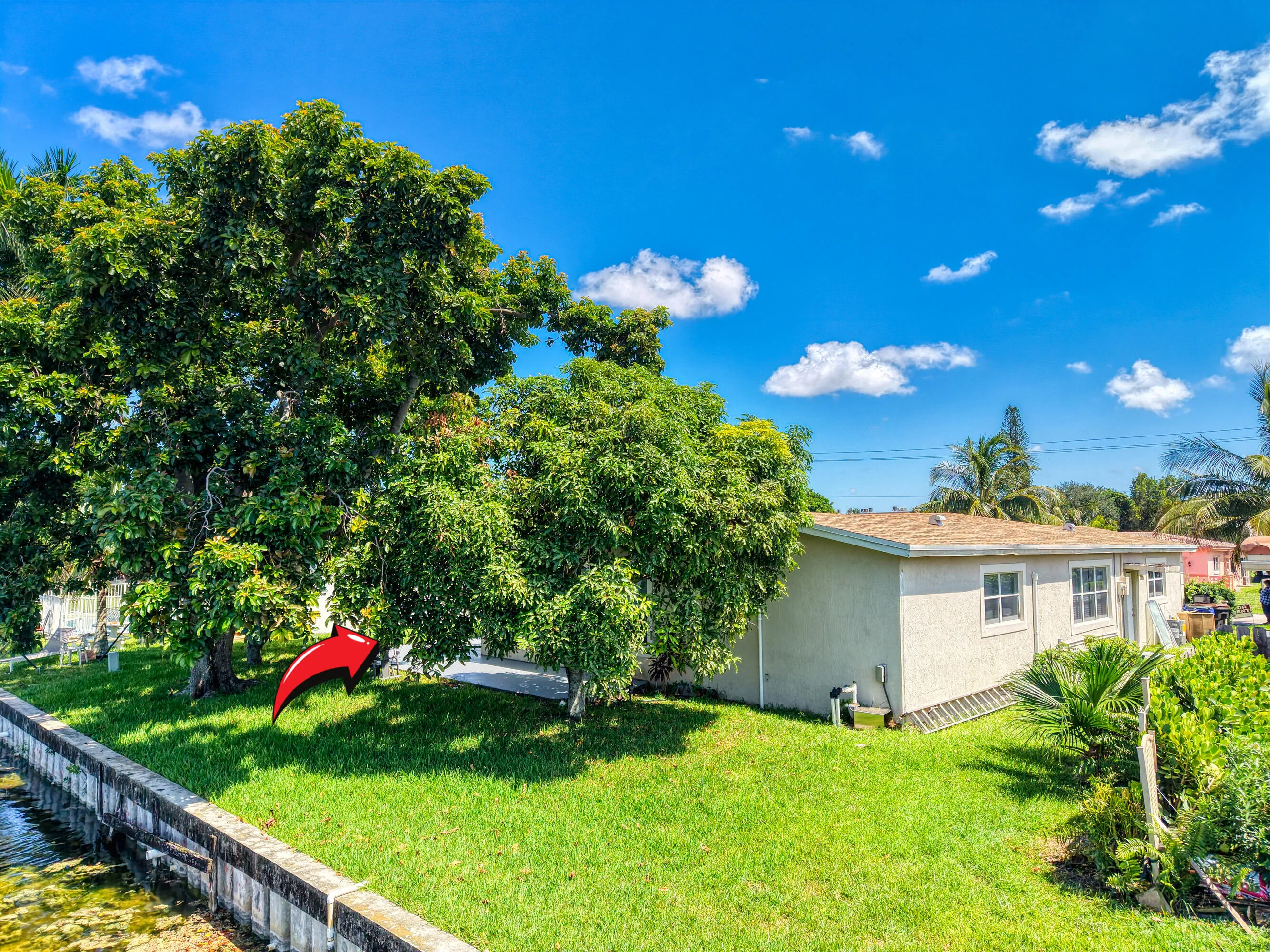 12 Backyard (3)