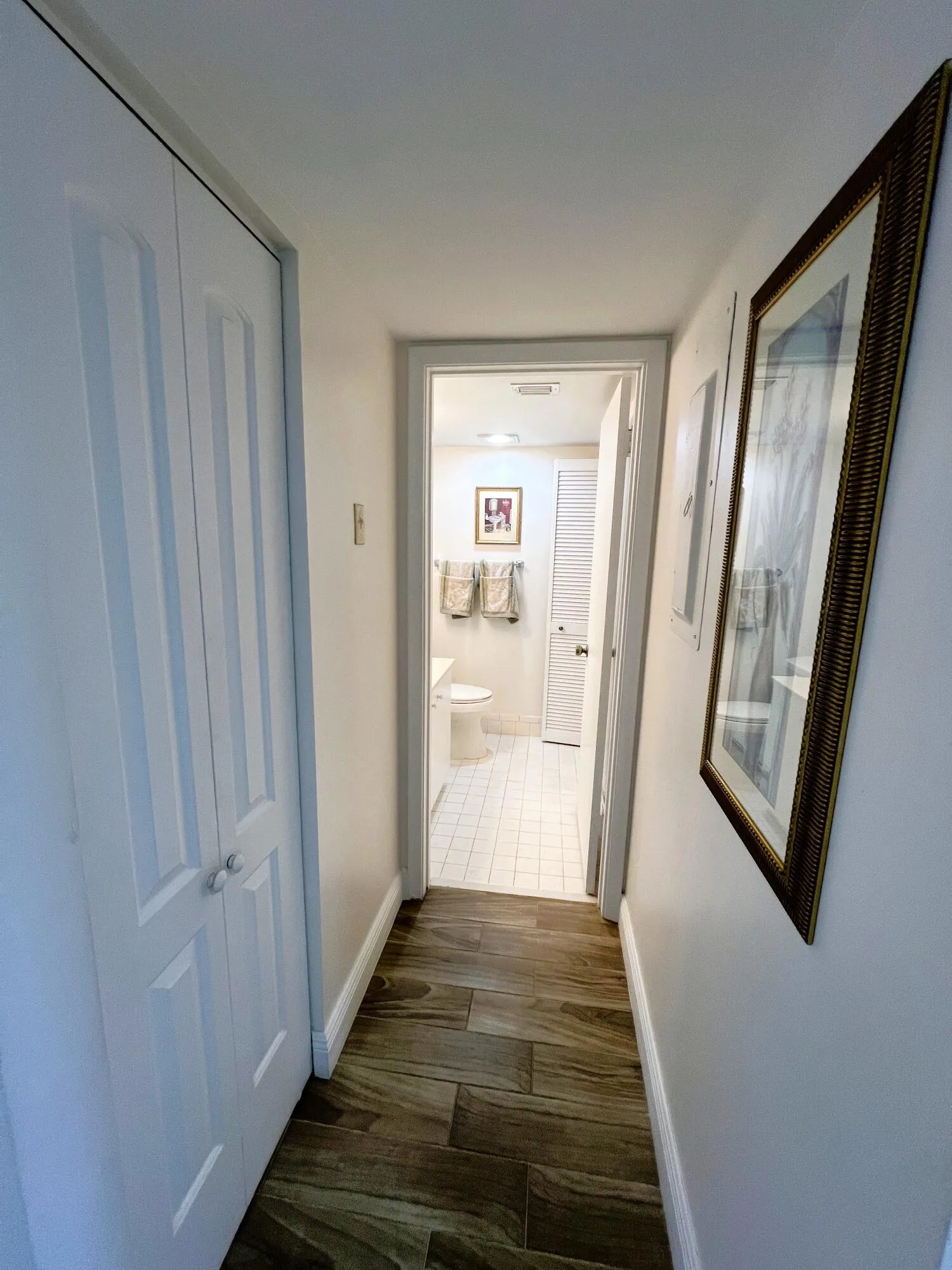 Linen/Storage Closet