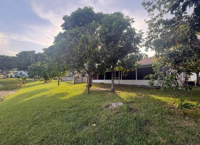 Backyard 3