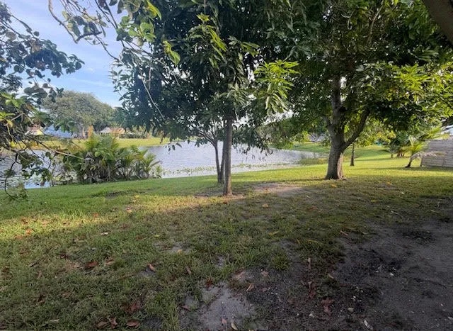 Backyard 1