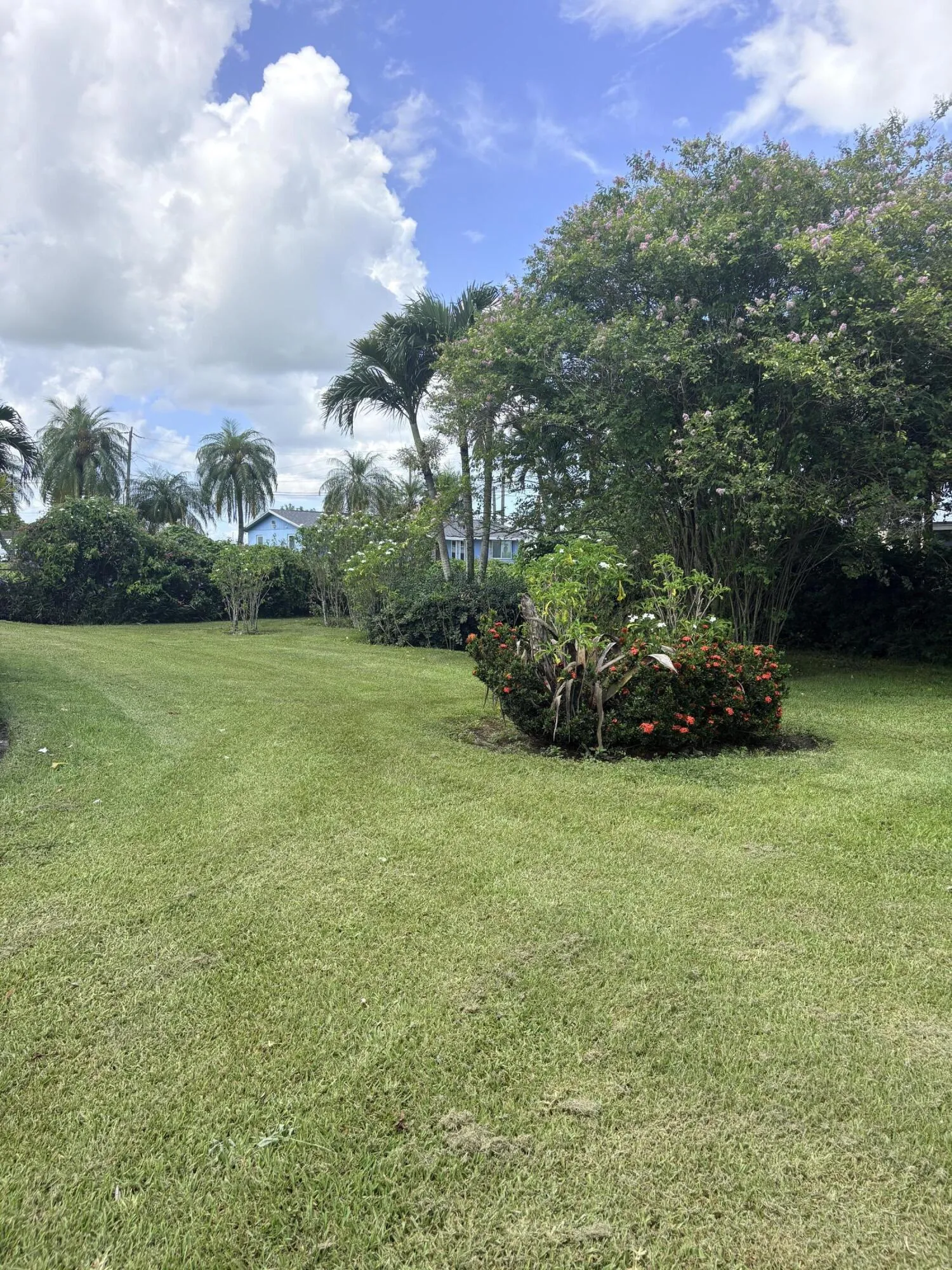 yard