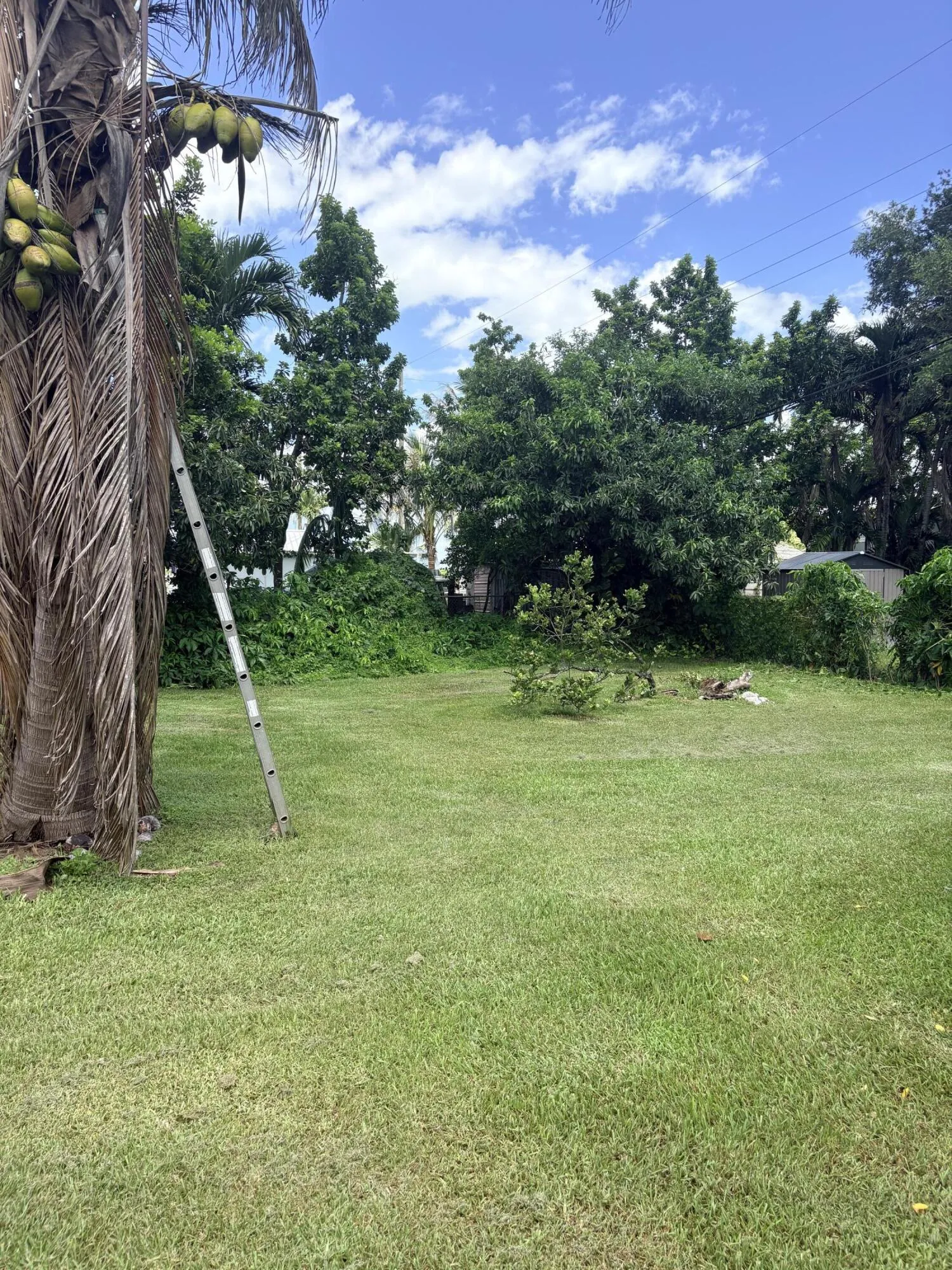 yard