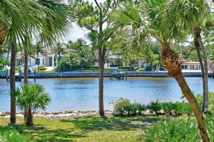 Direct Intercostal View