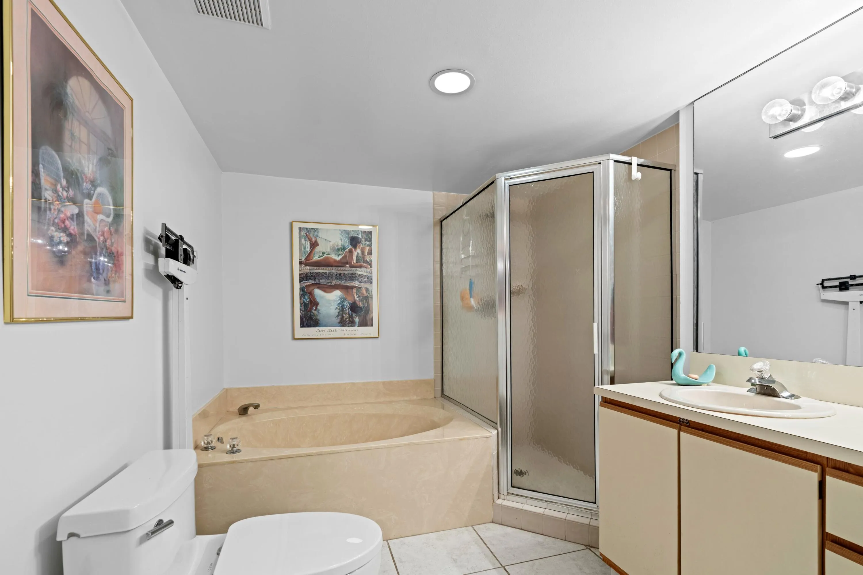 Separate Shower and Tub