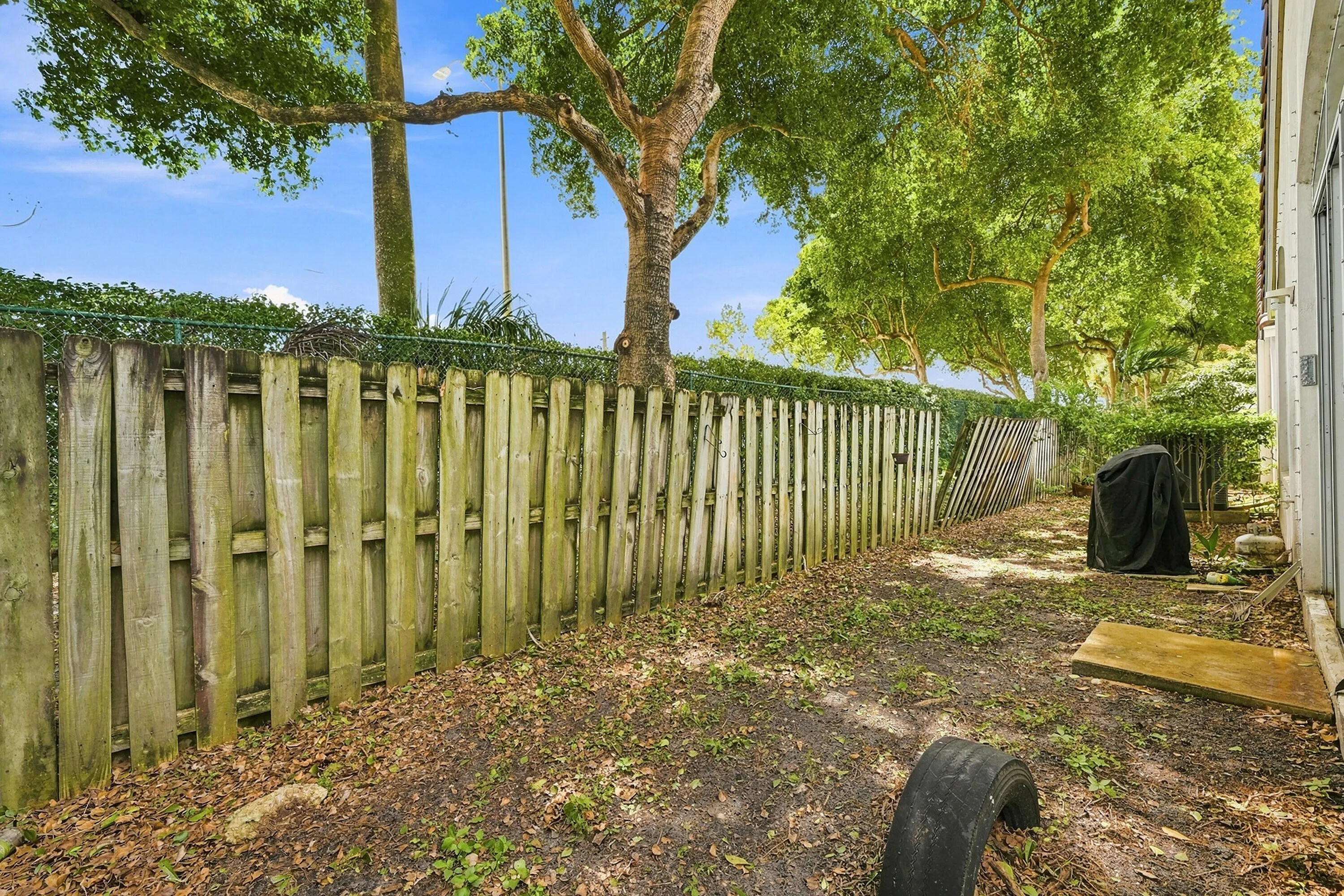 31_backyard
