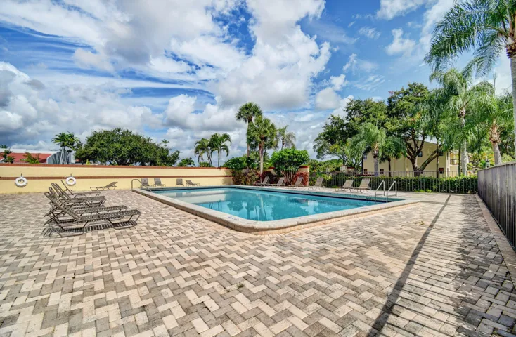 Rectangular swimming pool with integrated steps, surrounded by a light-colored paver patio, privacy fencing, and mature palm trees