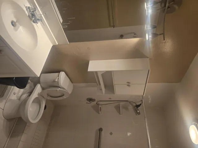 1000456550