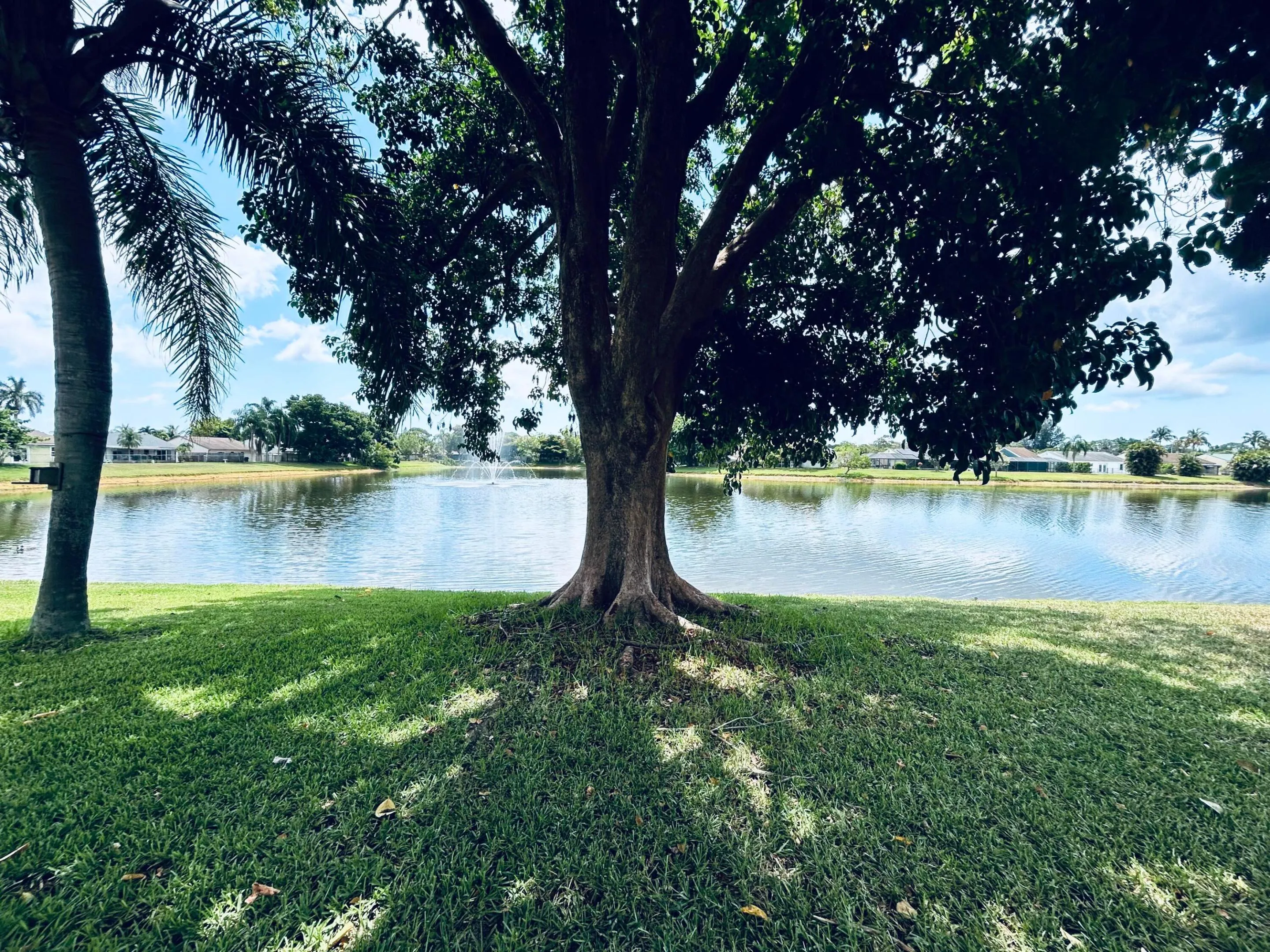 Expansive waterfront setting with mature trees and a prominent water feature.