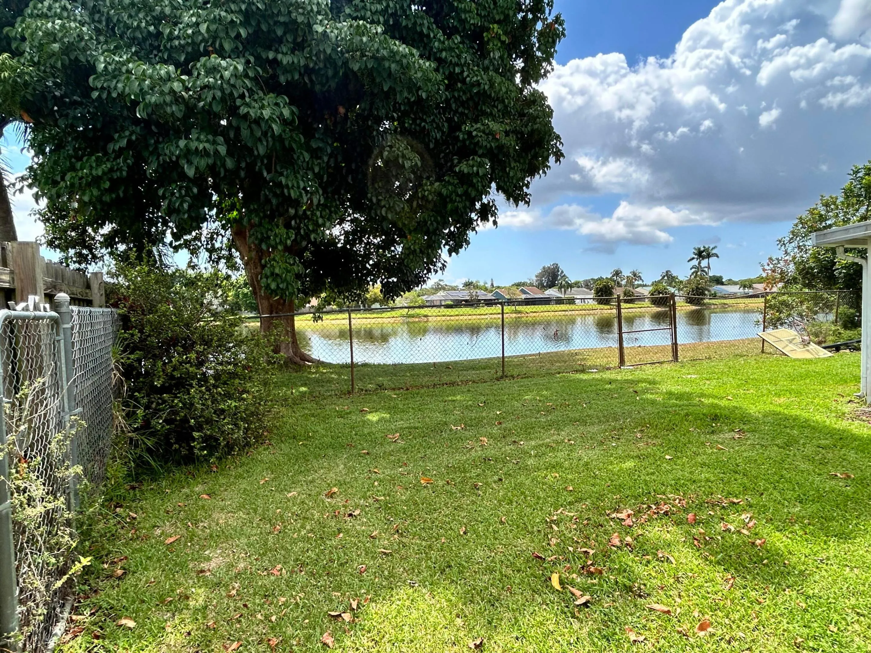 Expansive backyard with an established tree, and chain-link fencing along the water's edge.