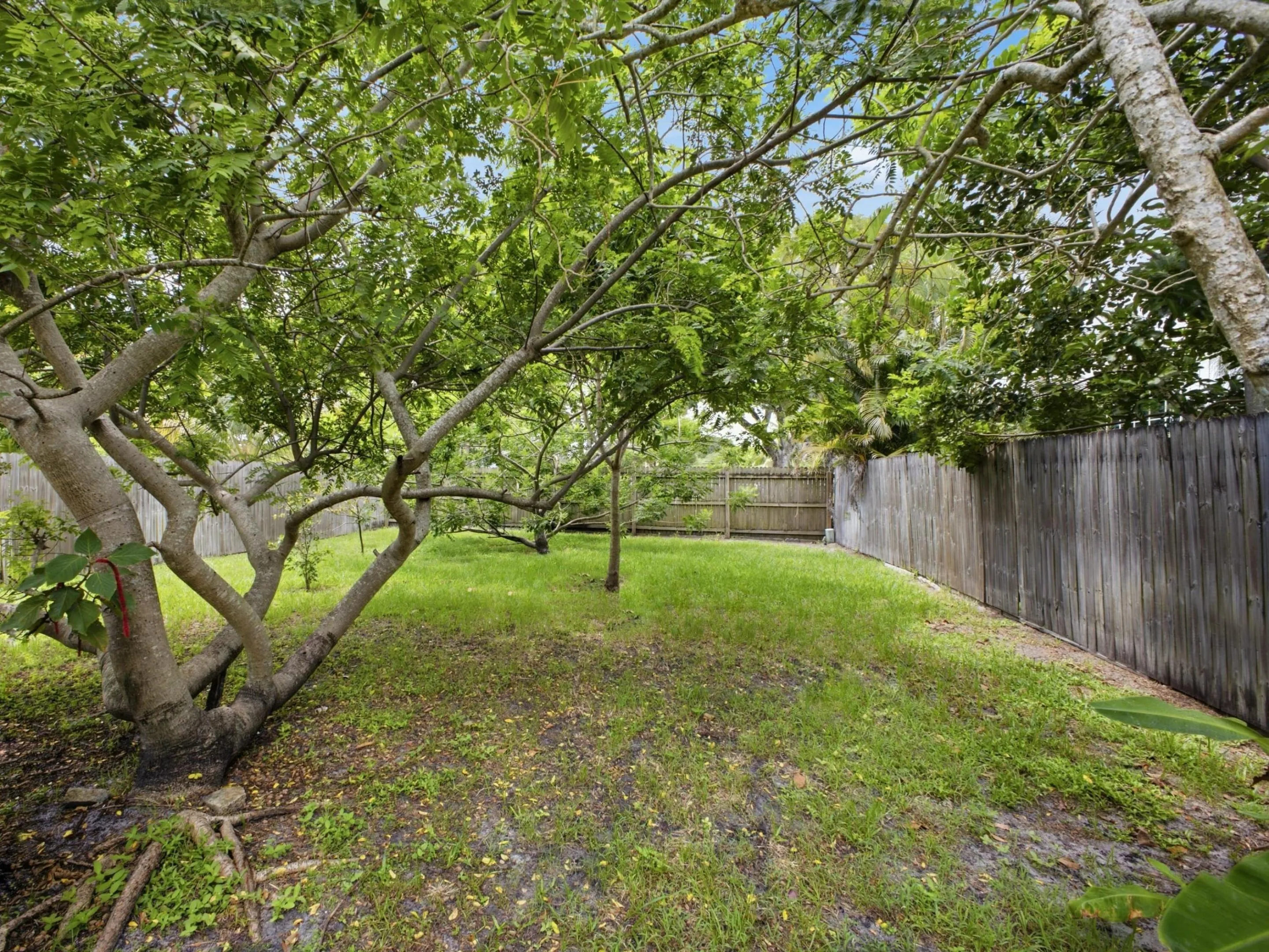 Backyard