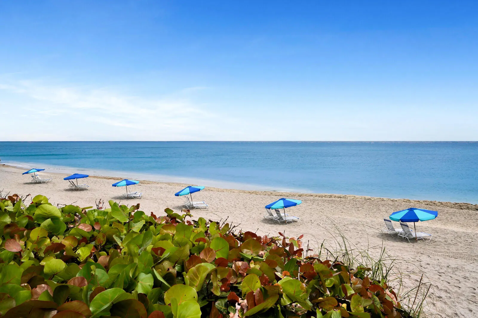 COTE BEACH CHAIRS